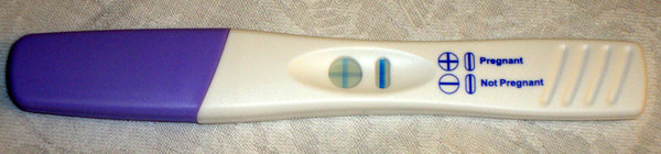 bfp