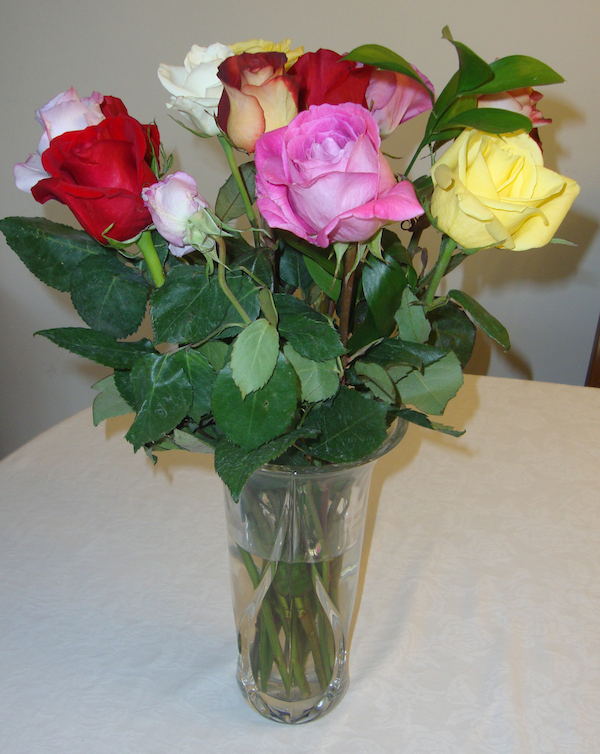 rainbow roses
