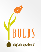 flower bulbs dig drop done