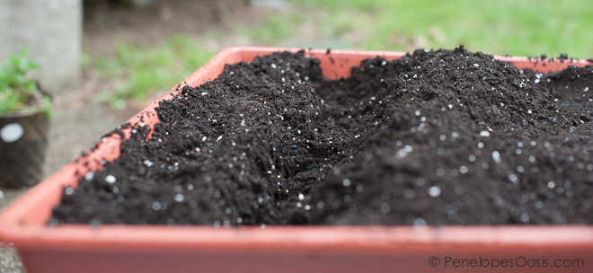 create troughs in garden for fertilizer