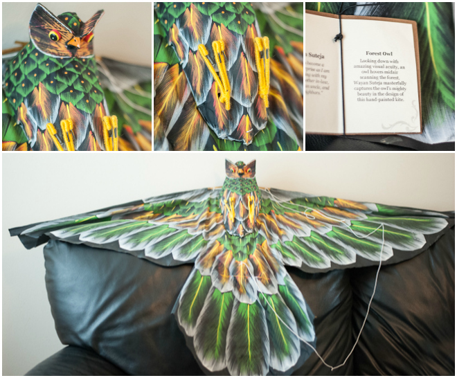 handmade owl kite