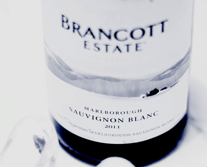 brancott wine