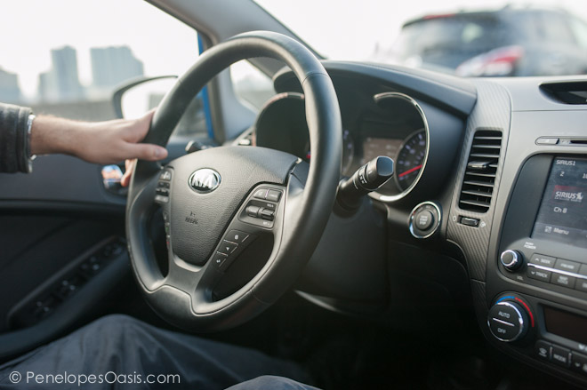 kia forte 2014 driver side