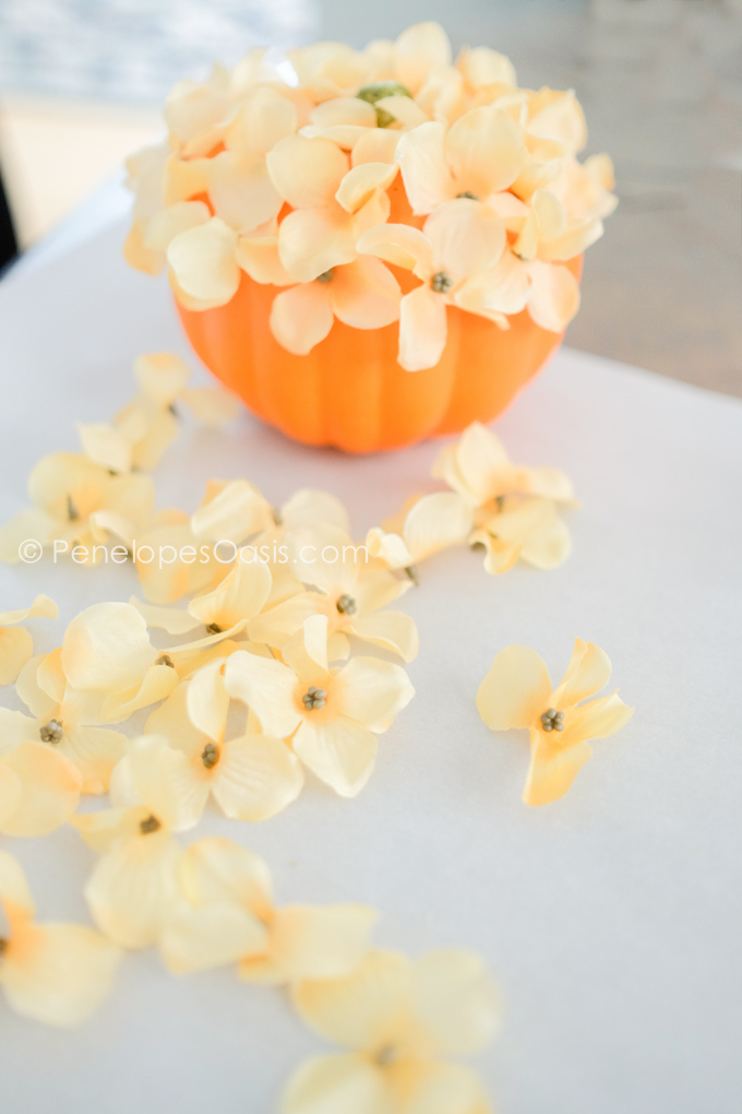 flower pumpkin craft
