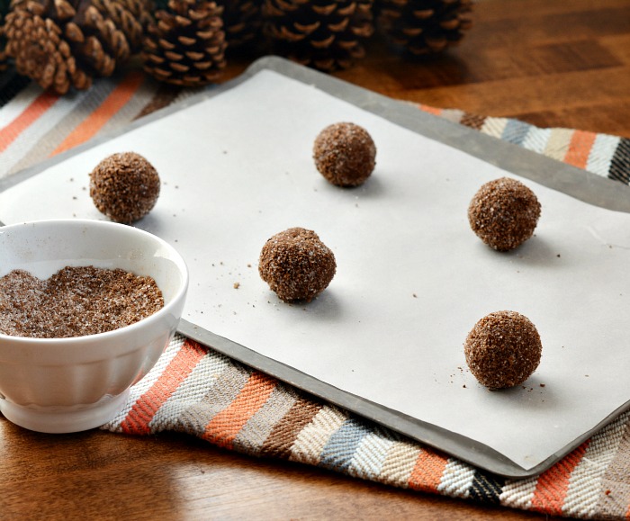 cinnamon sugar coated chocolate cookie balls