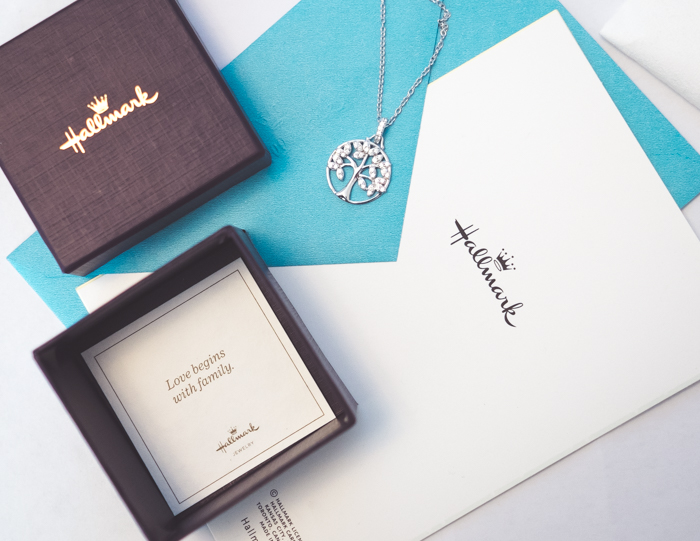 love begins with family hallmark-7