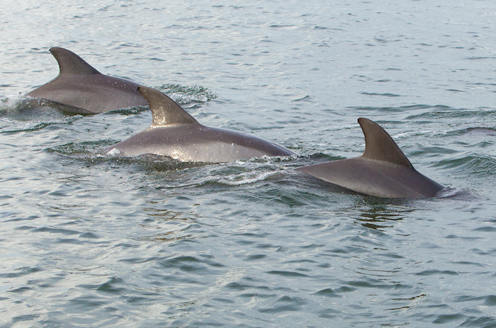 Gulf County Florida Water Adventure