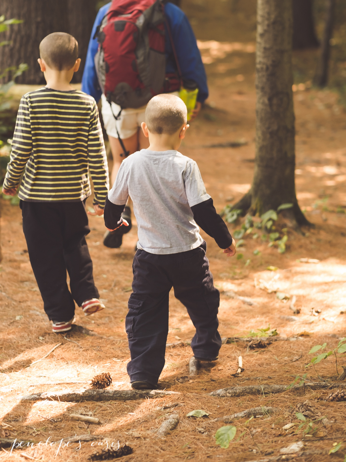 hiking in new hampshire