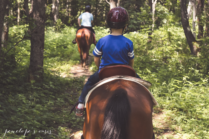 horse back riding in new hampshire