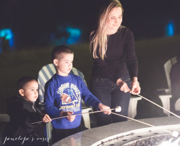 toasting smores by fire